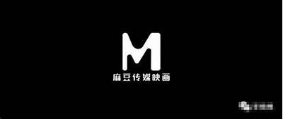 麻豆传媒保洁服务：专业、高效、让您的环境焕然一新